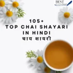 Chai Shayari in Hindi
